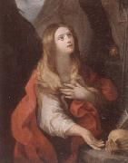 unknow artist The penitent magdalene oil on canvas